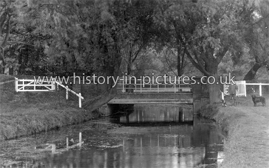 The Trout Stream, Stansted, Essex. c.1920's